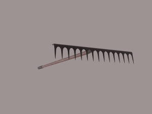 rake Model 3D