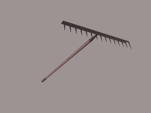 rake Model 3D
