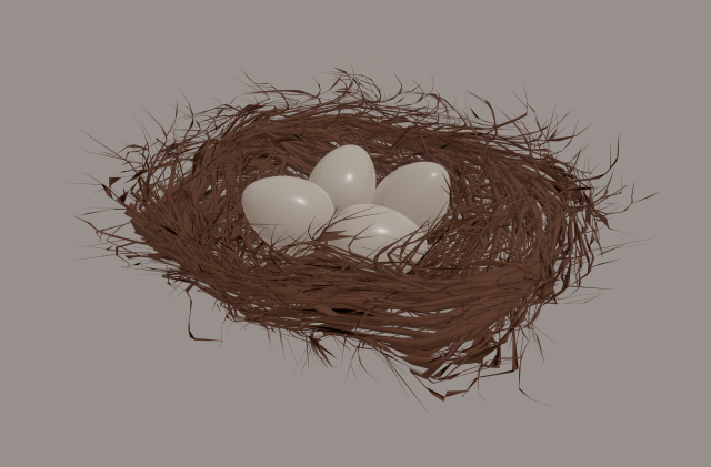 bird nest Modello 3D .c4d .max .obj .3ds .fbx .stl .blend 