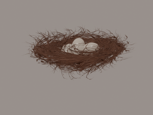 bird nest Modello 3D