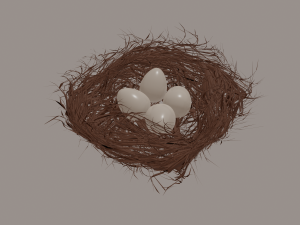 bird nest Modello 3D