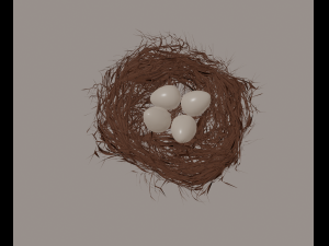 bird nest Modello 3D