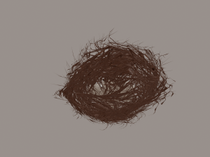 bird nest Modello 3D