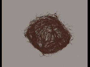 bird nest Modello 3D