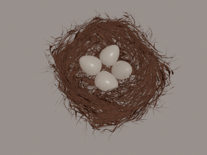 bird nest Modello 3D