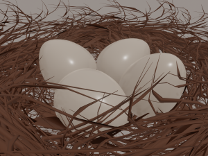 bird nest Modello 3D