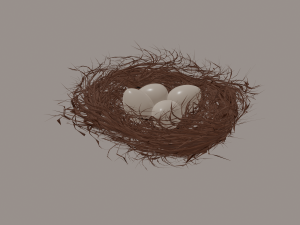 bird nest Modello 3D