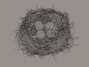 bird nest Modello 3D