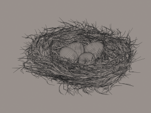 bird nest Modello 3D