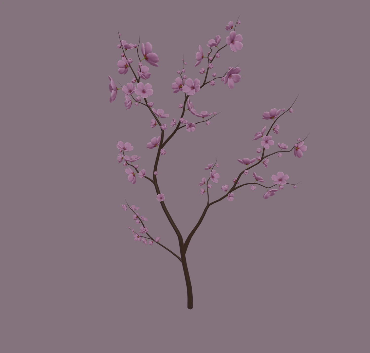 cherry blossom 3D Model .c4d .max .obj .3ds .fbx .stl .blend 