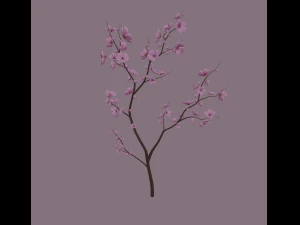 kiraz &ccedil;i&ccedil;eği 3D Model