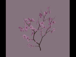 cherry blossom 3D Model
