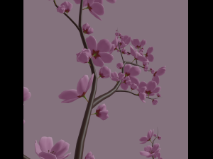 cherry blossom 3D Model