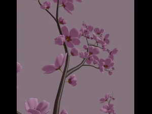 cherry blossom 3D Model