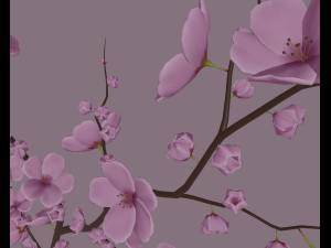 cherry blossom 3D Model
