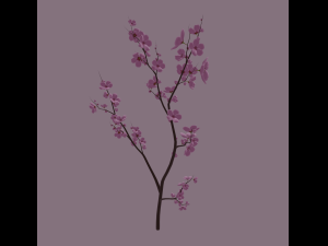 cherry blossom 3D Model