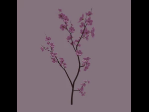 cherry blossom 3D Model