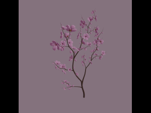 cherry blossom 3D Model