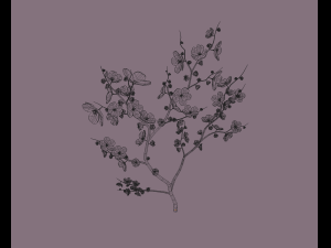 cherry blossom 3D Model