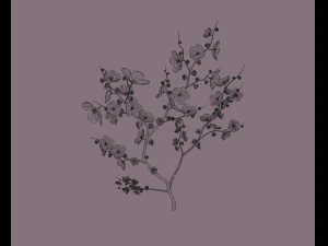 cherry blossom 3D Model