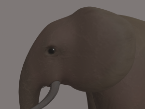 elephant 3Dモデル