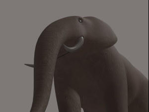 elephant 3Dモデル