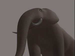 elephant 3D Model