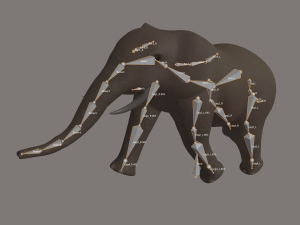 elephant 3Dモデル
