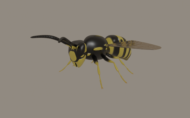 wasp 3D Model .c4d .max .obj .3ds .fbx .stl .blend 