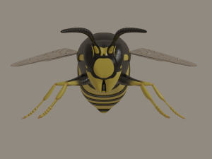 wasp 3D Model