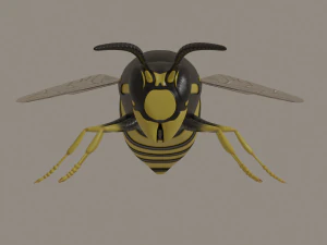 wasp 3D Model
