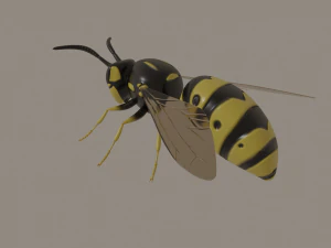 wasp 3D Model