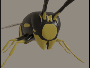 wasp 3D Model