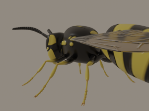 wasp 3D Model