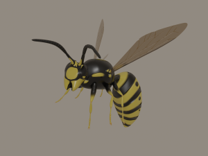 wasp 3D Model