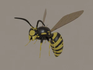 wasp 3D Model