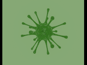 virus 3D Model