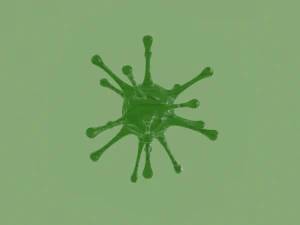 virus 3D Model