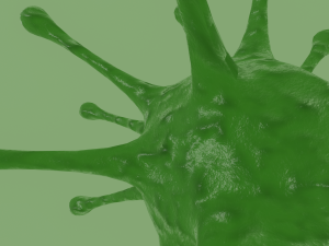virus 3D 모델