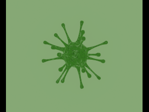 virus 3D 모델