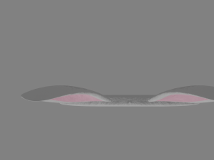 bunny hairband 3D 模型