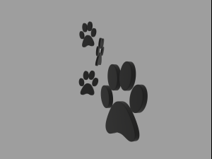 paw print 3Dモデル