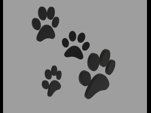 paw print 3Dモデル