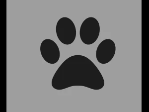 paw print 3D Model