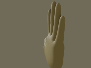 hand 3D Model