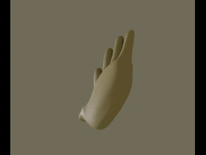 hand 3D Model