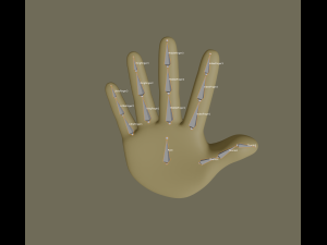 hand Model 3D
