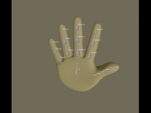 hand 3D Model