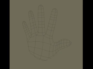 hand 3D Model