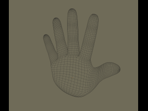 hand Model 3D